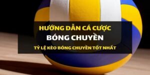 Cá cược bóng chuyền Ku3933 là gì? 